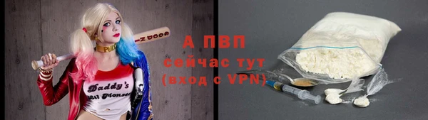 МДПВ Богородск