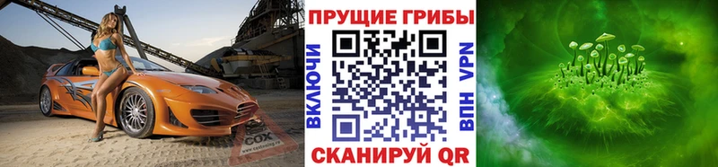 Псилоцибиновые грибы Psilocybe  Касли 
